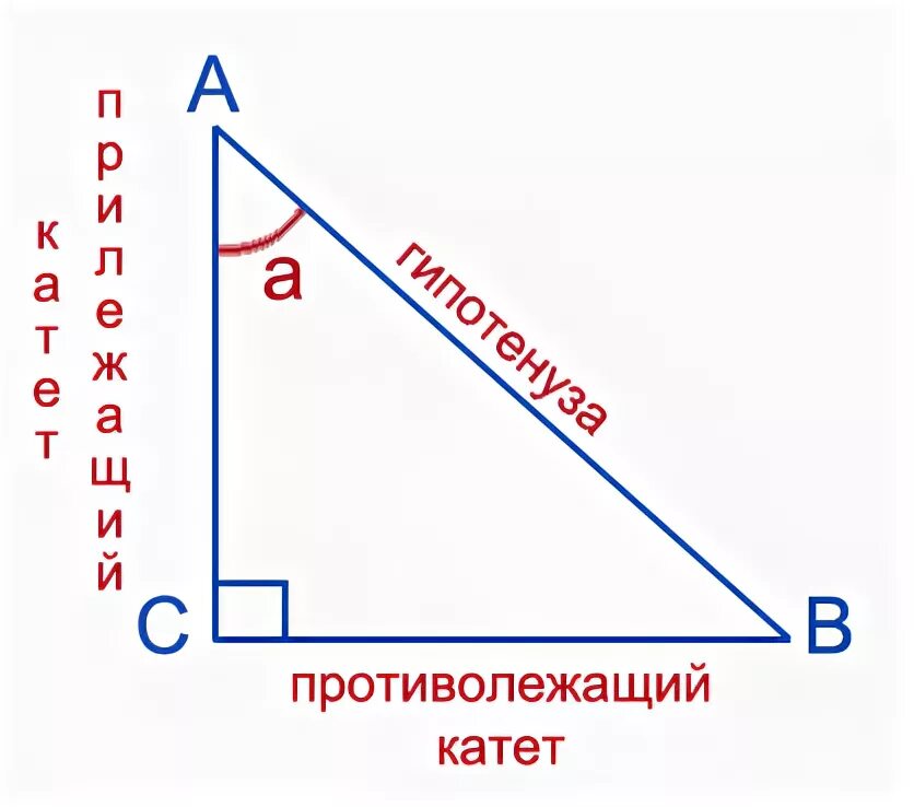 Sin cos TG В прямоугольном треугольнике. Sin cos TG CTG В прямоугольном треугольнике формулы. Синус и катет в прямоугольном треугольнике. Противолежащий катет в прямоугольном треугольнике. Катет прямоугольного треугольника через тангенс