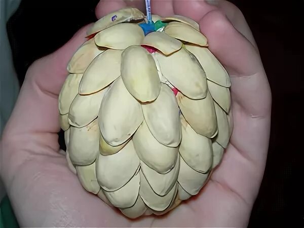 Фисташковые скорлупки