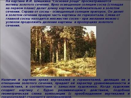 Текст старая сосна