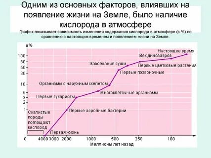 Время появления жизни на земле