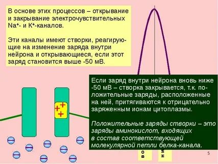 Процесс открытия и закрытия