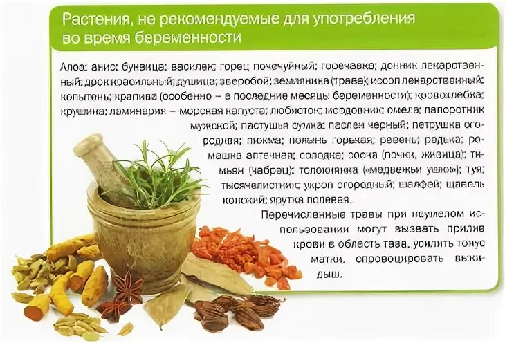 Какие травы нельзя при беременности