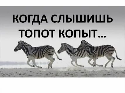 Топот