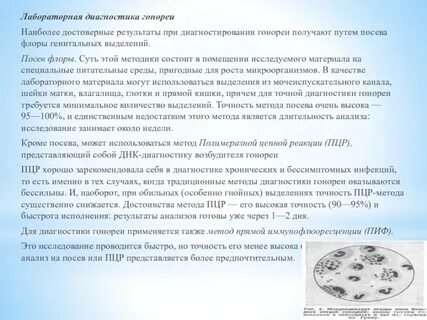 Гонорея анализ