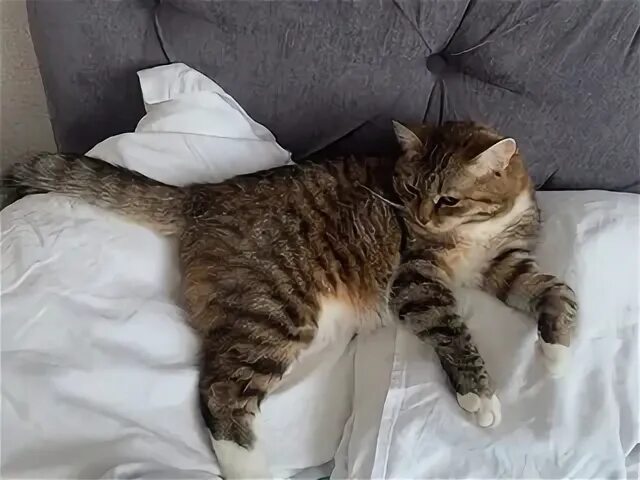 Лежит не взять. Лежит не взять