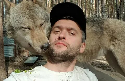 Держу дома волка