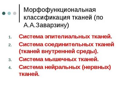 Морфофункциональная характеристика тканей