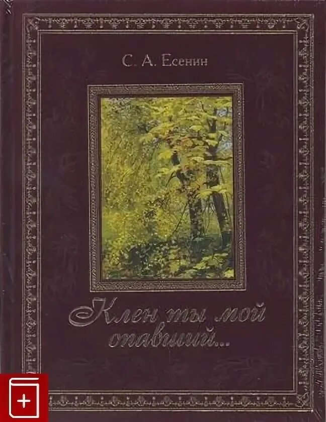 Клён ты мой опавший есенин. Клён ты мой опавший текст. Стихотворение есенина клен ты мой опавший. Клен мой опавший есенин. Клён ты мой опавший есенин о произведении.