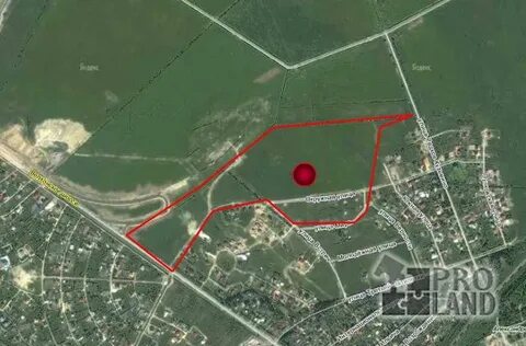 Где в пушкинском районе