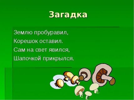 Явился на свет не