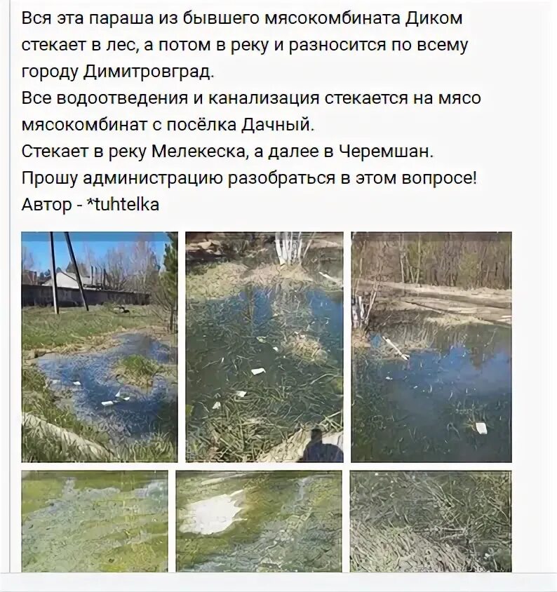 Вода в черемшане