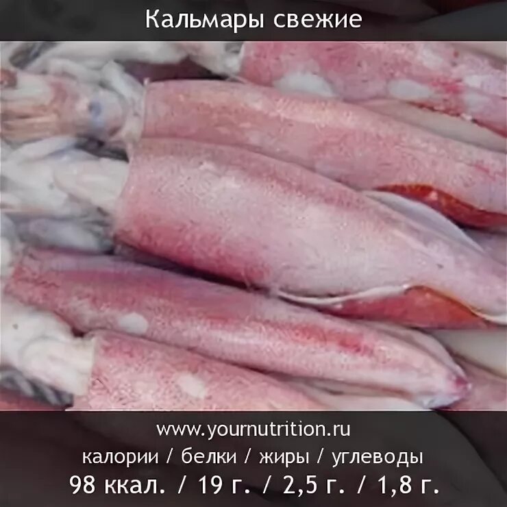 Питательная ценность кальмара. Кальмар пищевая ценность на 100 грамм. Количество белка в кальмаре на 100 грамм. Кальмар вареный калорийность на 100 грамм. Кальмары калории на 100 грамм.