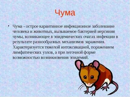 Чума класс