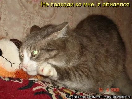 Не подходи ко мне