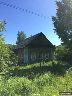 Киров цепели