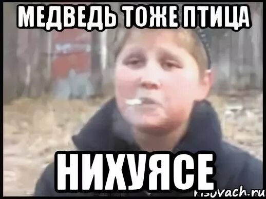 Кто ее родил 4 пьяных ежика