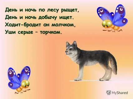 Ходит ищет