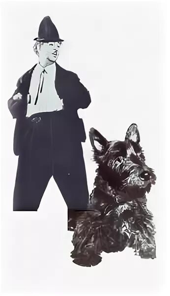 Скотч терьер клякса. Михаил румянцев. Клоун карандаш с собакой. Клоун карандаш и его собака клякса. Порода скотч терьер.