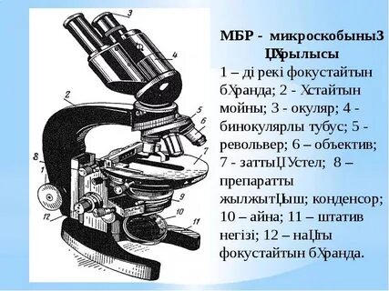 Микроскоптың құрылысы
