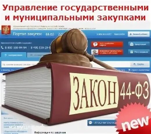 Обучение по закупкам. Управление государственными и муниципальными закупками. Государственные и муниципальные закупки фото. Курсы по 44 ФЗ. Управление государственными и муниципальными заказами.