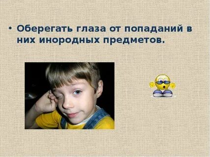 Главные помощники человека