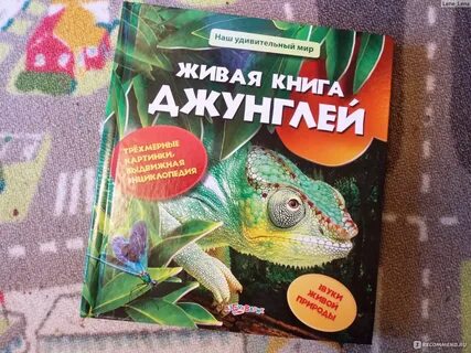 Живая книга