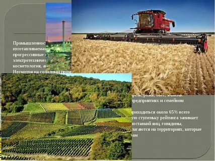 Сельской хозяйственные отрасли