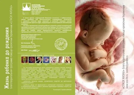 Рождение ребенка от зачатия до рождения
