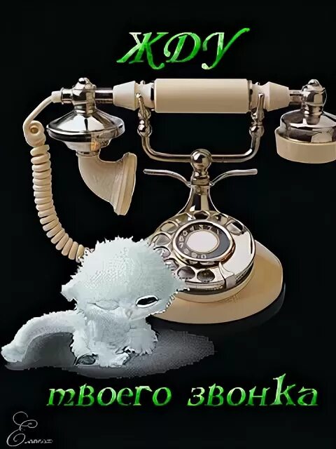 Ты мой день на звонок. Девушка мечтает. Ты мой день на звонок. Позвони мне картинки. День позвони другу 28 декабря.