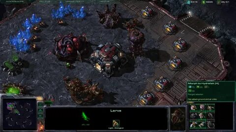 Starcraft brood