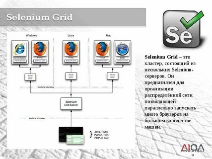 Webdriver path