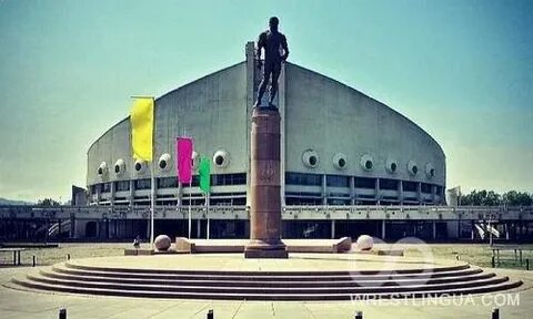 Дворец спорта имени ярыгина красноярск фото