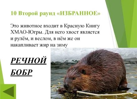 Книги хмао югре
