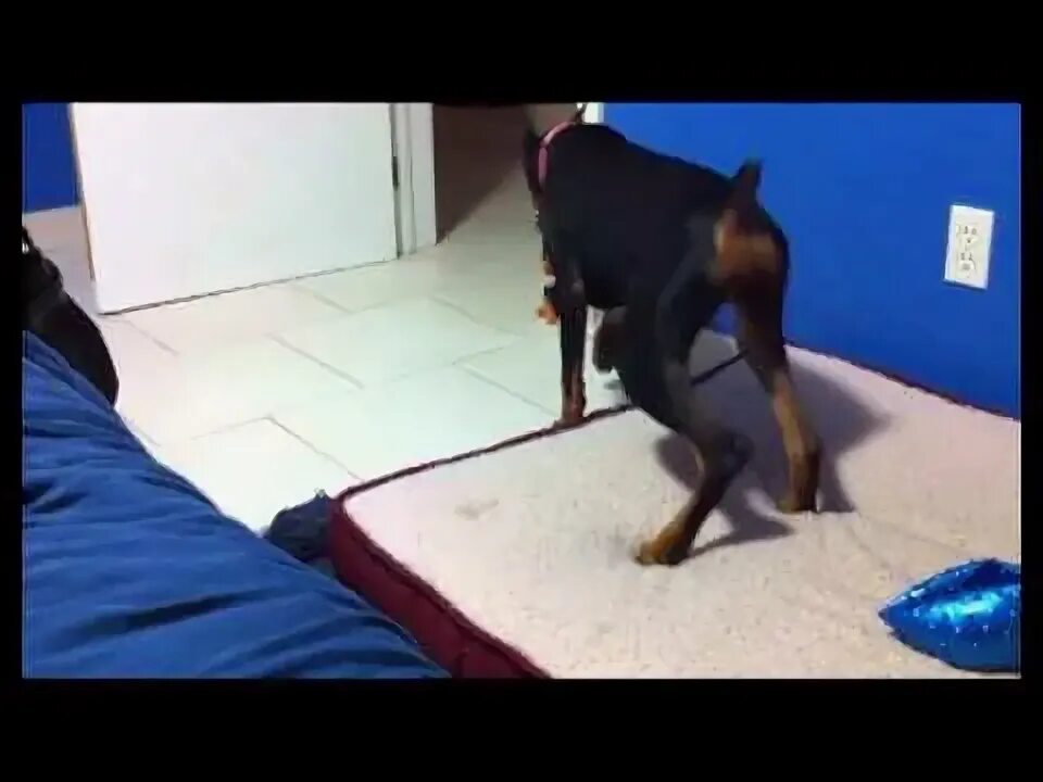 Прикольный ролик про