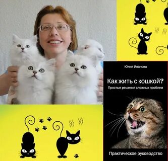 Зоопсихолог для кошек