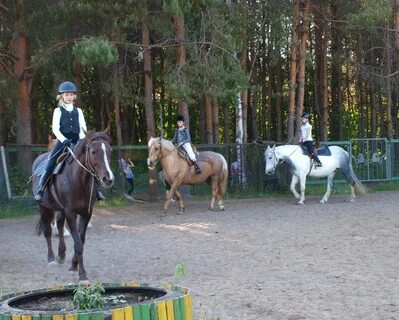Конный коуб