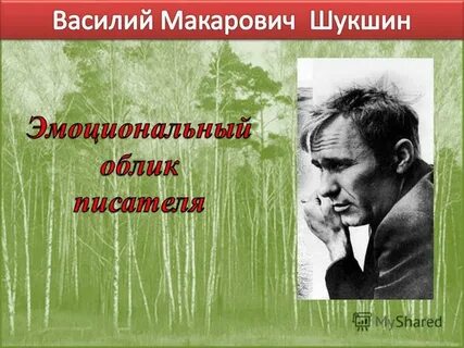 Слово о малой родине шукшин сочинение