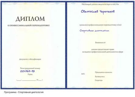 Аудит дипломной работы