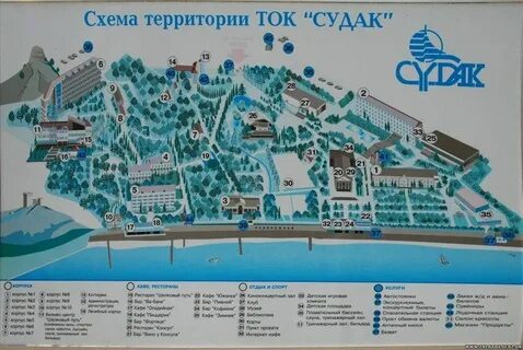 Ток судак схема