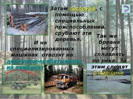 Как делают книгу 2 класс