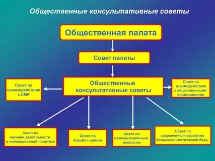 Деятельности общественной палаты
