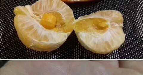 Беременный апельсин