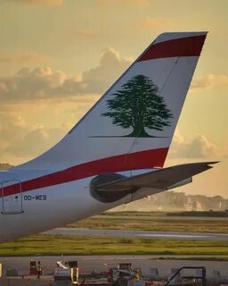 Middle east airlines