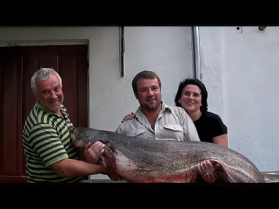 45 сом. Сомик озерный. Налим большой. Десятикилограммовая щука рыбы. 45 сом.