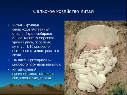Сельское хозяйство китая кратко