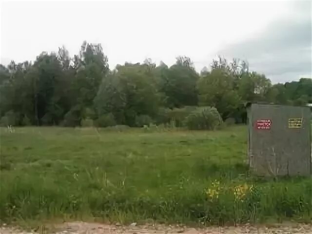 Радионово Новгородская область. Сперанская Мыза Новгородский район. Деревня Сперанская Мыза Новгородская область. Новгородская область, Новгородский р-н, д. Долгово.