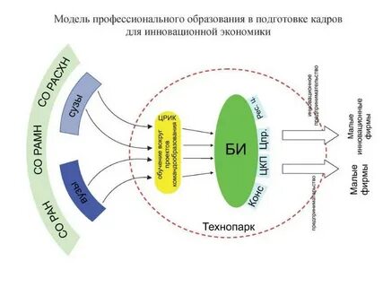 Модель профессионала