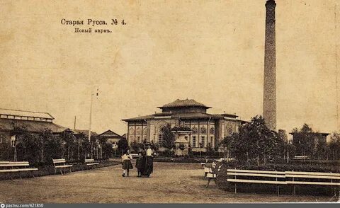 Кедр старая русса