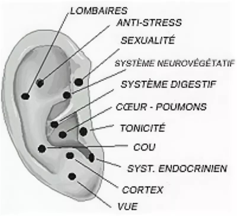 Точка тин. Акупунктурные точки ушной раковины. Ушная раковина точки акупунктуры органов. Точки акупунктуры на ушной раковине. Схема точек акупунктуры ушной раковины.