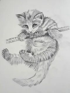 Как нарисовать сложных котиков